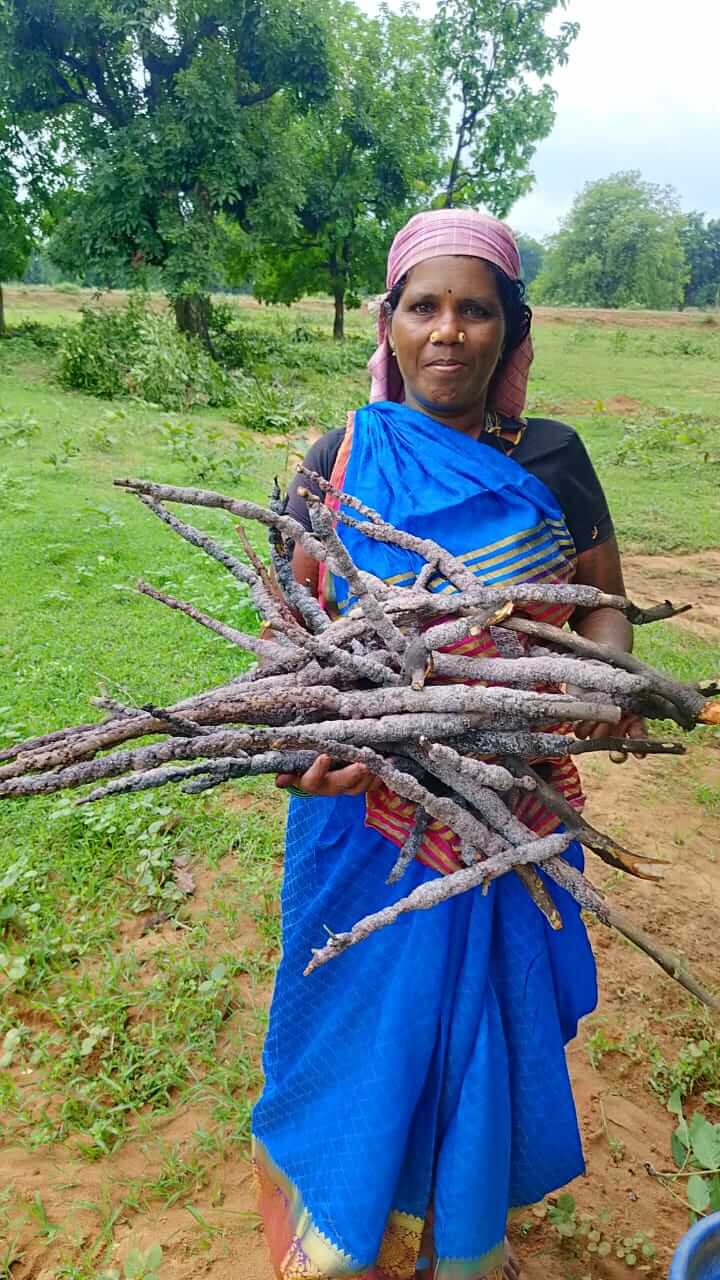 shree-nature-food