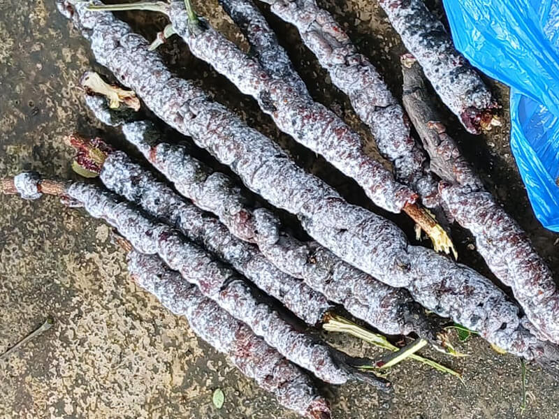 shree-nature-food