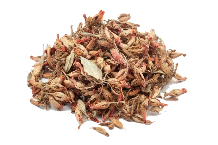 Medicinal Plants