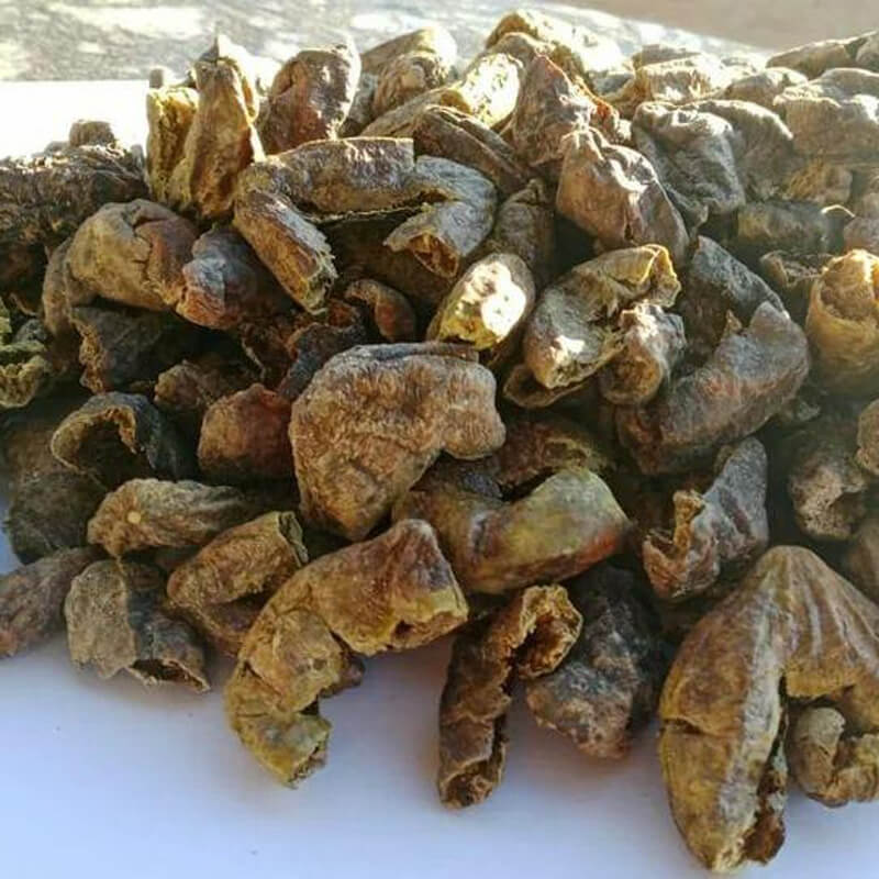 Medicinal Plants