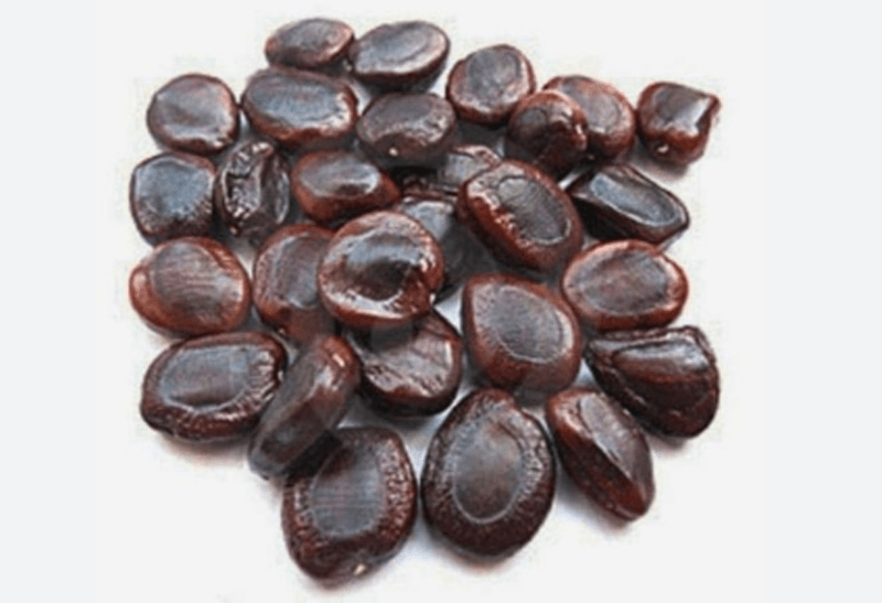 Tamarind Seed