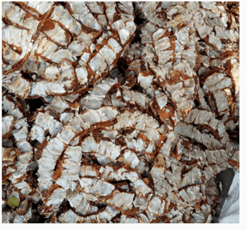 Tamarind (Imli)